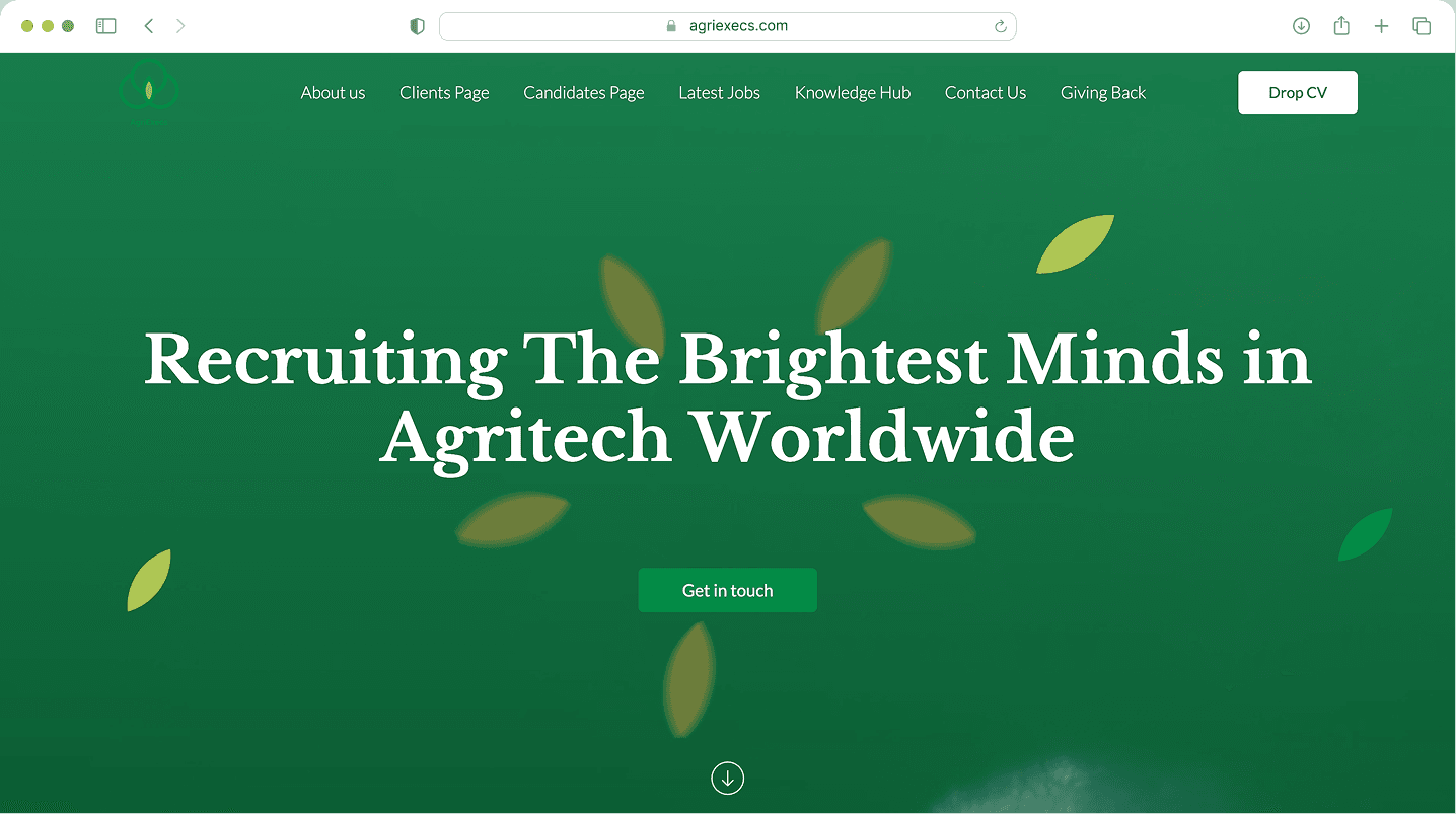 Website for a start-up recruiter